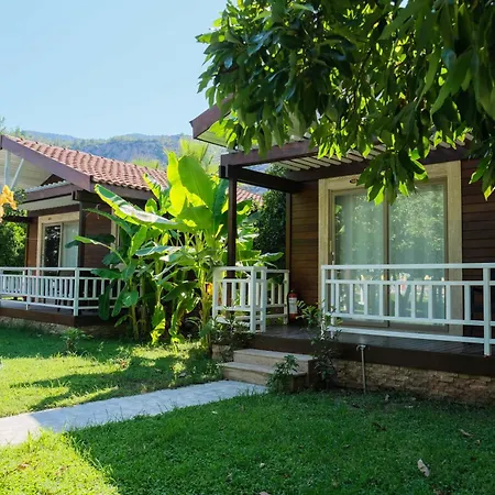 Apella 3*