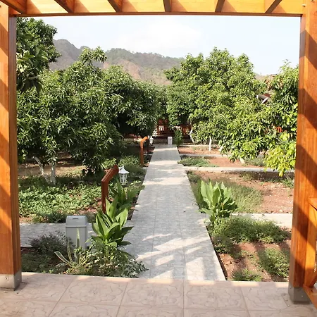 Otel Apella Çıralı