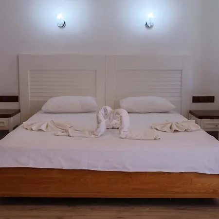 Apella 3*