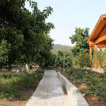 Apella Hotel Çıralı
